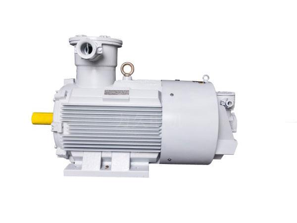 YBBP系列隔爆型變頻調(diào)速三相異步電動機(jī)